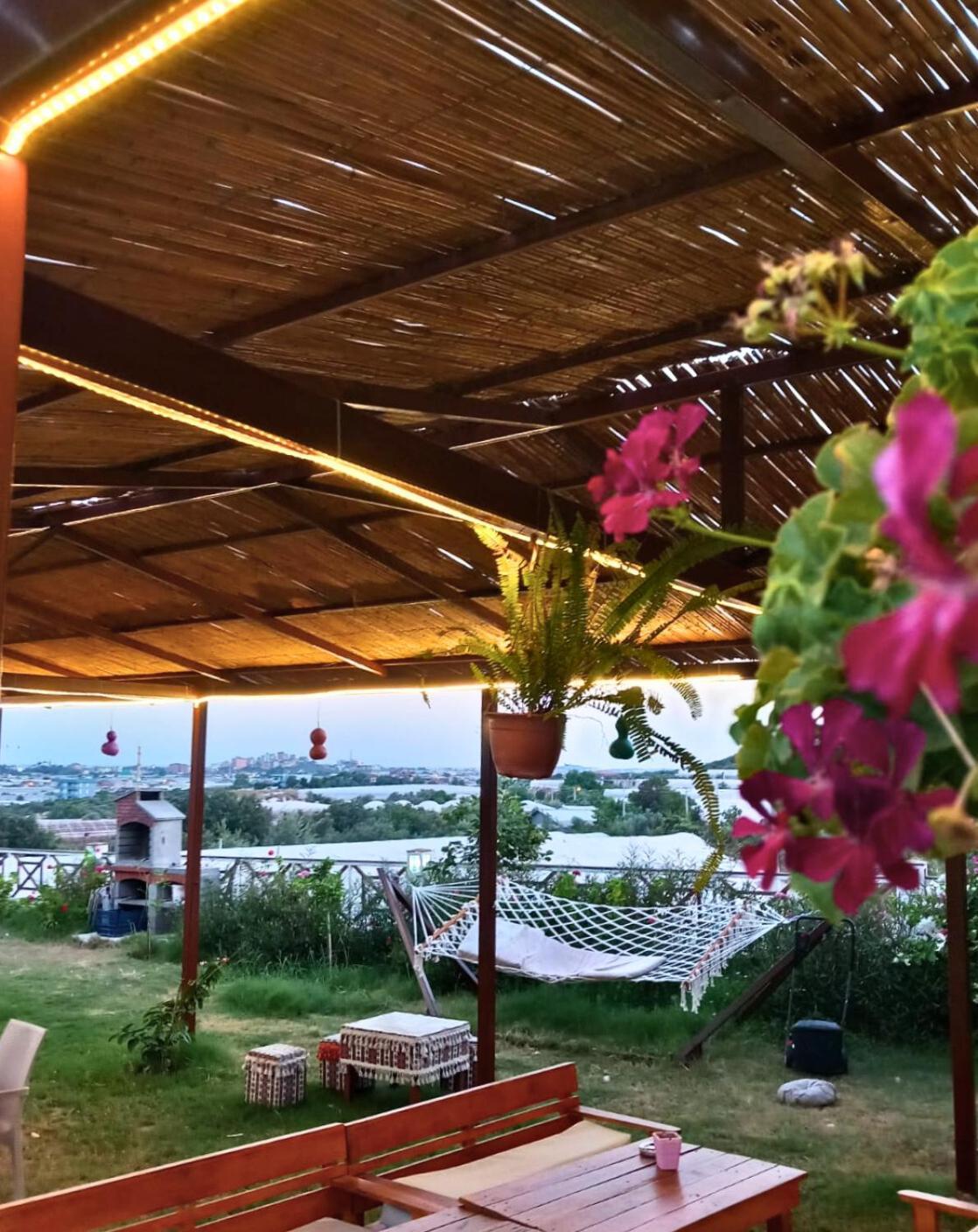 Bu Bungalow Hotel Demre Extérieur photo