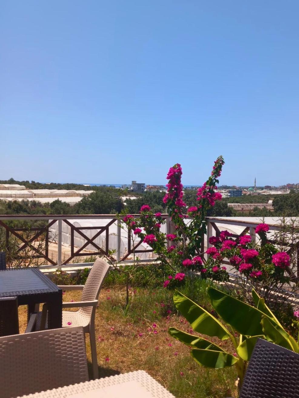 Bu Bungalow Hotel Demre Extérieur photo